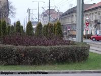 Imagine atasata: Mocioni - 2013.12.12 - 2.jpg